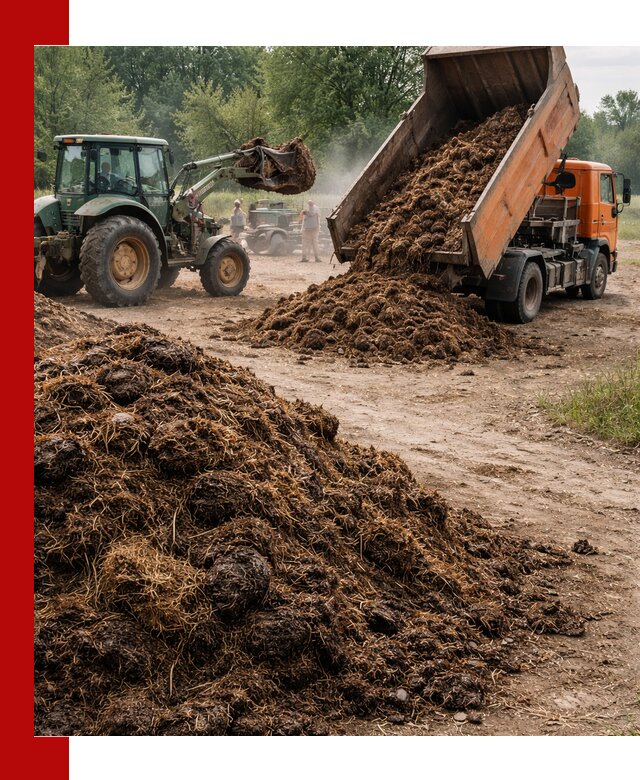 Доставка навоза самосвалами в Краснокамске для сельхозпотребностей